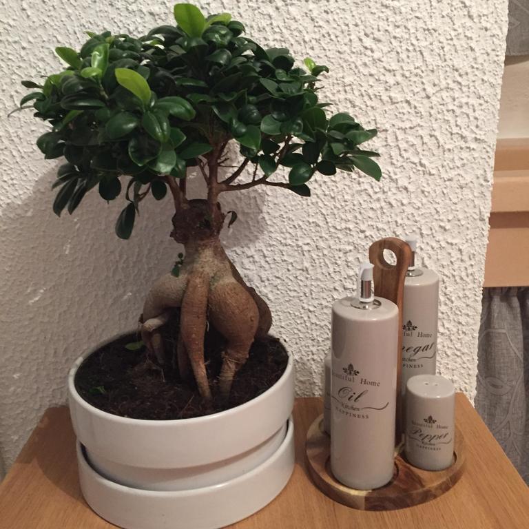 Appartamento Annamaria Ostuni Værelse billede